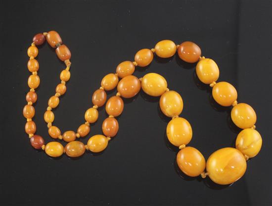 A single strand graduated oval amber bead necklace, 44cm.